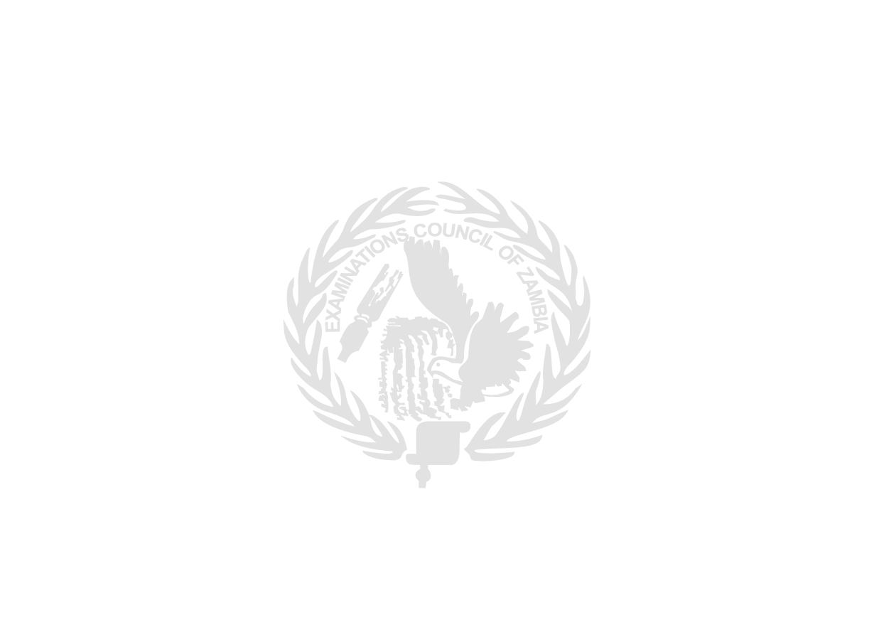 Examination Council of Zambia